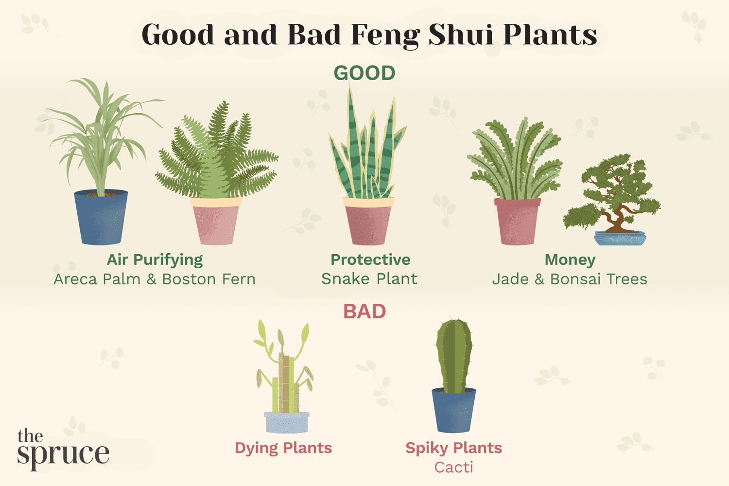 The 15 Best Feng Shui Vegetation to Use In Your Home