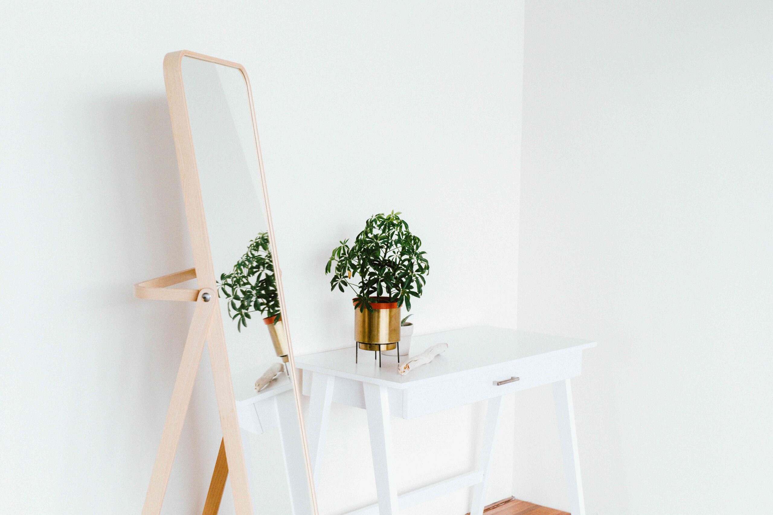 Is It Ever OK to Have a Mirror Going by a Door in Feng Shui?