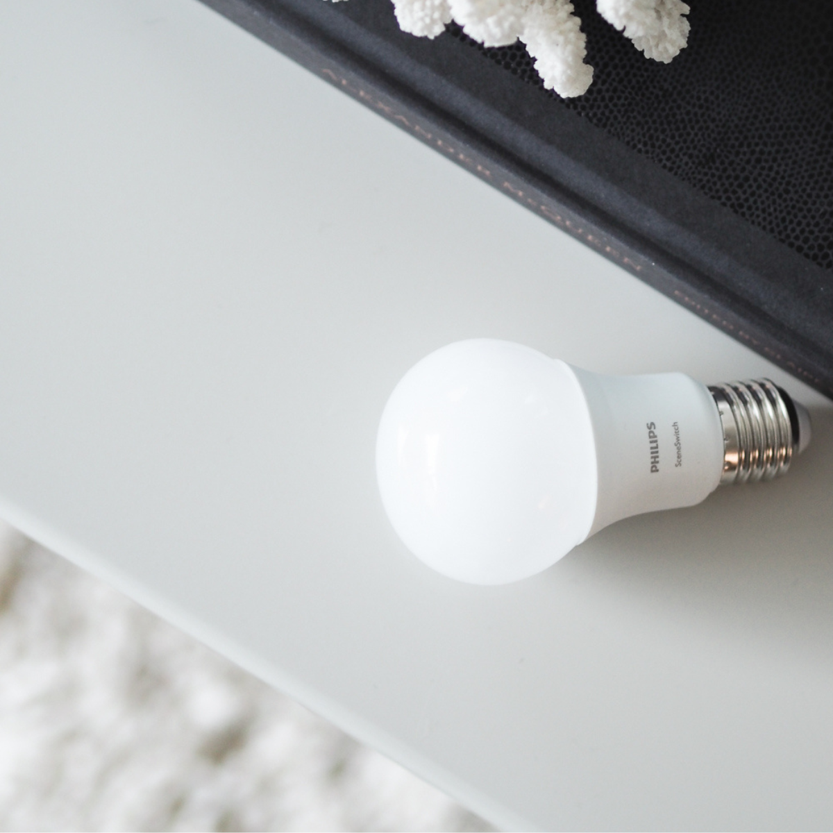 Light Bulb Types Decoded: Choosing the Correct Lighting for Your Home